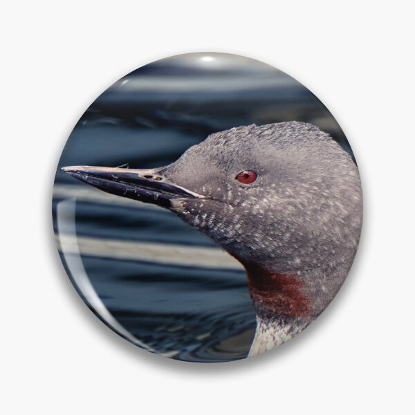 Item preview, Red-throated Diver designed and sold by Tom McPherson Photography.