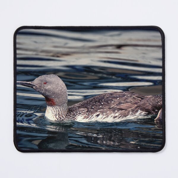 Item preview, Red-throated Diver designed and sold by Tom McPherson Photography.