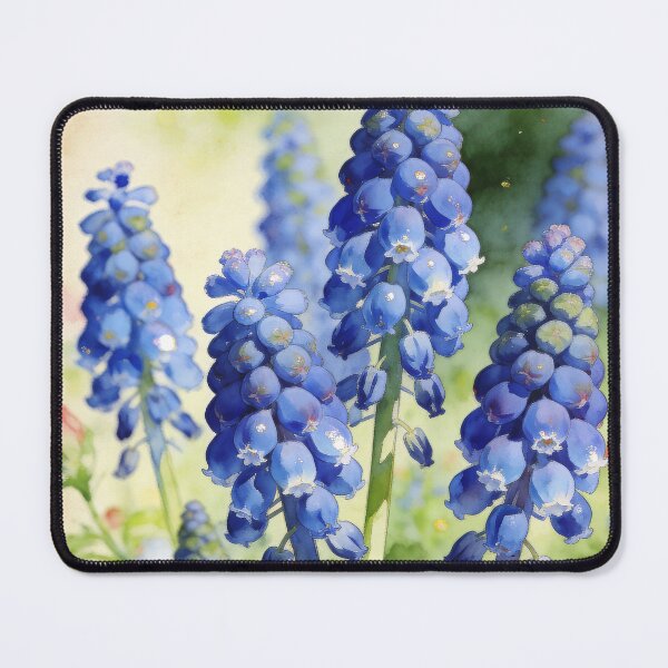 Item preview, Blue Grape Hyacinth Print | Cottagecore Botanical Wall Art designed and sold by QuietCanvasArtworks.