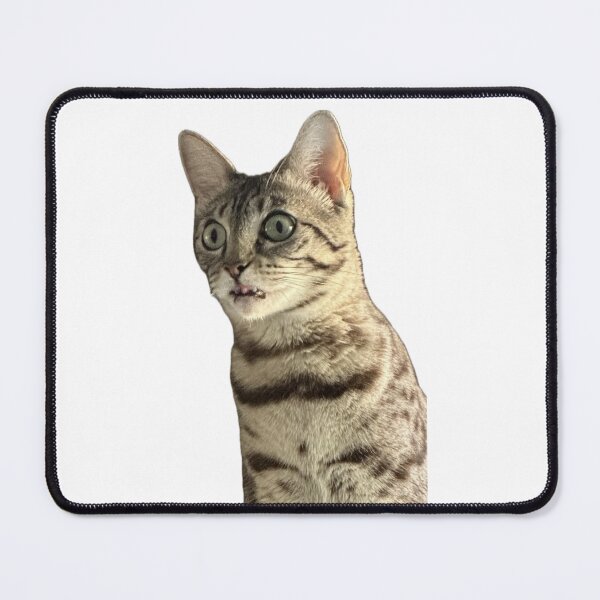 Item preview, Derp Bengal Cat  Funny Expression designed and sold by PPONJAPAN.