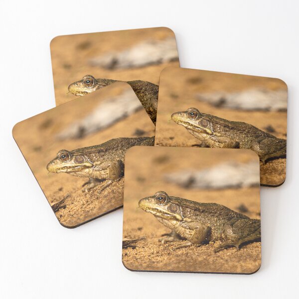 Item preview, Blending in on the rivers bank designed and sold by KB520PHOTOGRAPH.