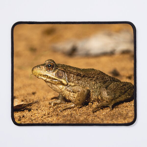 Item preview, Blending in on the rivers bank designed and sold by KB520PHOTOGRAPH.