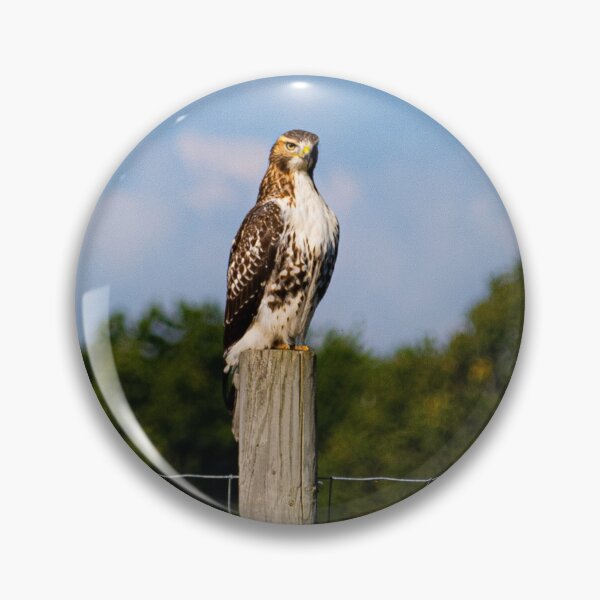 Item preview, On the lookout  designed and sold by KB520PHOTOGRAPH.