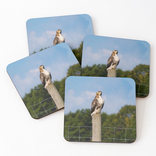 Item preview, On the lookout  designed and sold by KB520PHOTOGRAPH.
