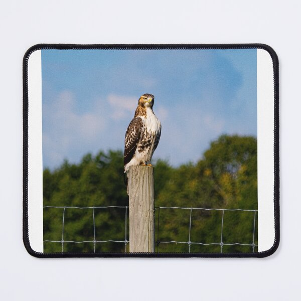 Item preview, On the lookout  designed and sold by KB520PHOTOGRAPH.