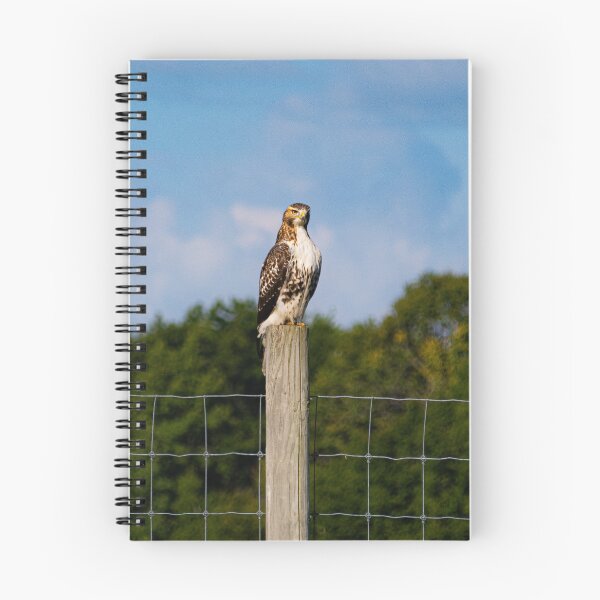 Item preview, On the lookout  designed and sold by KB520PHOTOGRAPH.