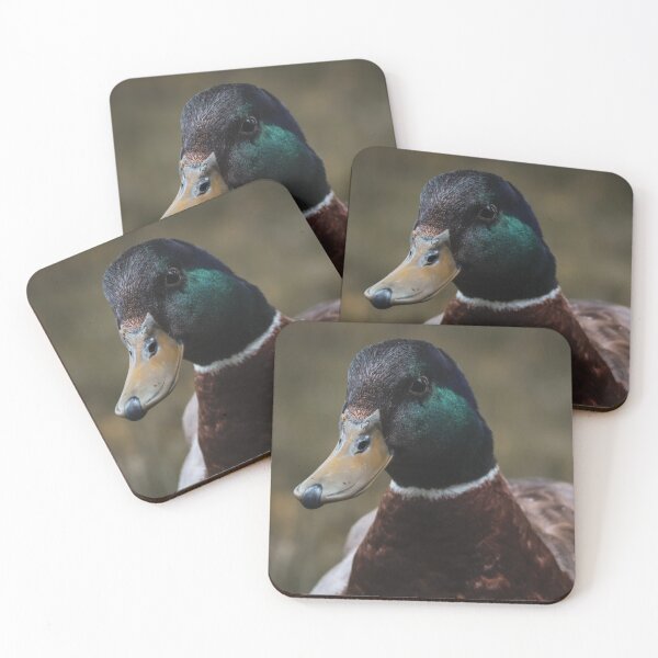 Item preview, Mallard Duck Fall Portrait Portrait designed and sold by SuburbanPond.