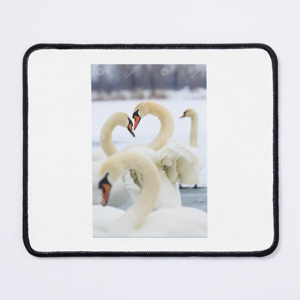Item preview, swan love designed and sold by MIJAK.