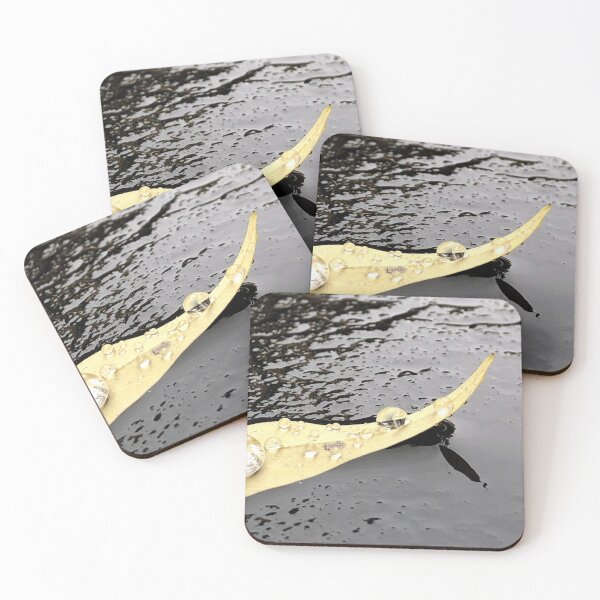 Item preview, Yellow boat leaf, rainy day photograph designed and sold by GiSilver.