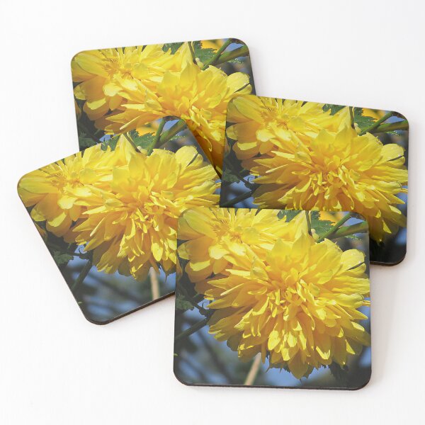 Item preview, Kerria Japonica 'Pleniflora' designed and sold by Katy Fryd.