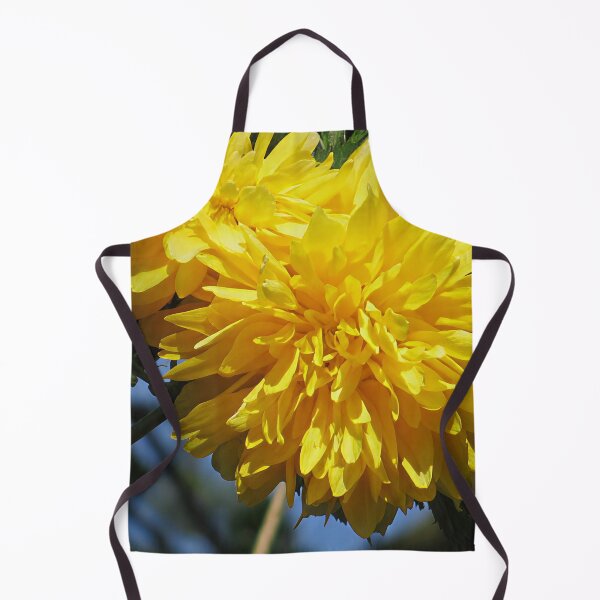 Item preview, Kerria Japonica 'Pleniflora' designed and sold by Katy Fryd.