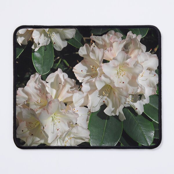 Item preview, Rododendro II designed and sold by Katy Fryd.