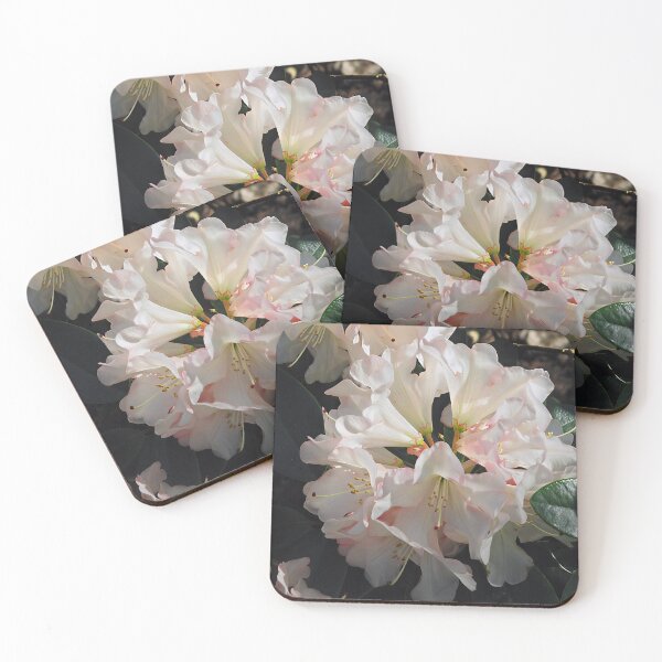 Item preview, Rhododendron designed and sold by Katy Fryd.