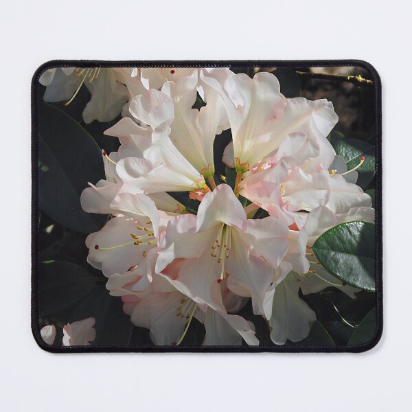 Item preview, Rhododendron designed and sold by Katy Fryd.