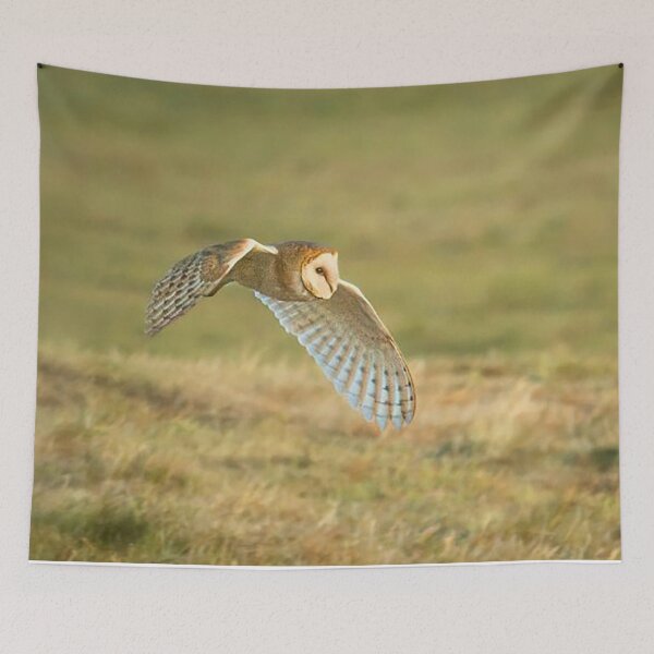 Item preview, Barn Owl in Flight designed and sold by Martin Stokes Photography.