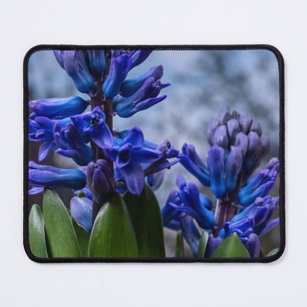 Item preview, Delft Blue Hyacinth designed and sold by jasminewang.