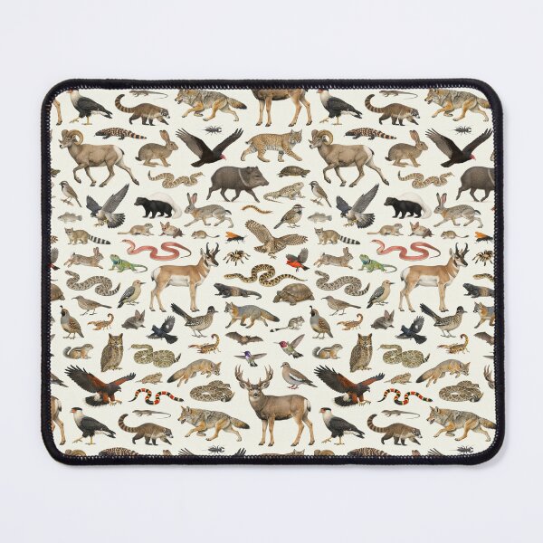 Item preview, Animals of the Sonoran Desert Retro Wildlife Chart designed and sold by kakarikihill.