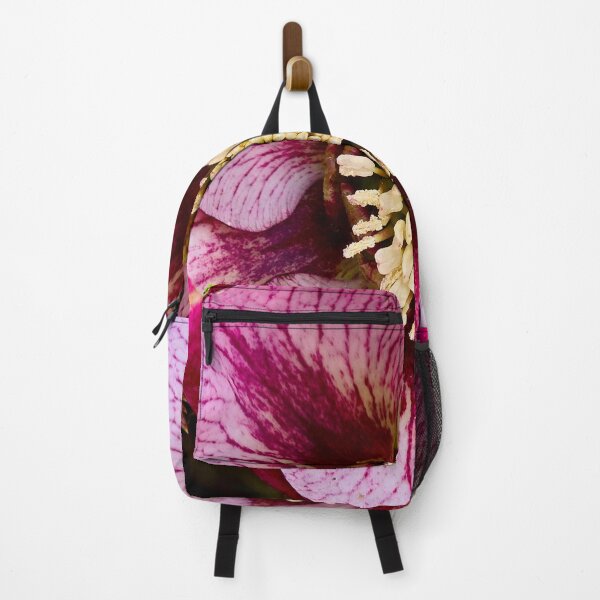 Item preview, Hellebores 'French Kiss' designed and sold by bjtomiko.