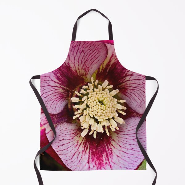 Item preview, Hellebores 'French Kiss' designed and sold by bjtomiko.