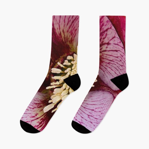 Item preview, Hellebores 'French Kiss' designed and sold by bjtomiko.