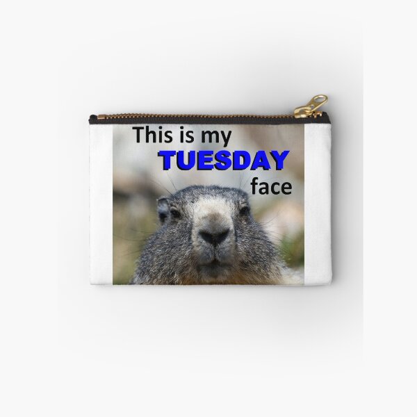 Item preview, This Is My Tuesday Face — Grumpy Marmot Funny Wildlife Meme designed and sold by AnotherMarmot.