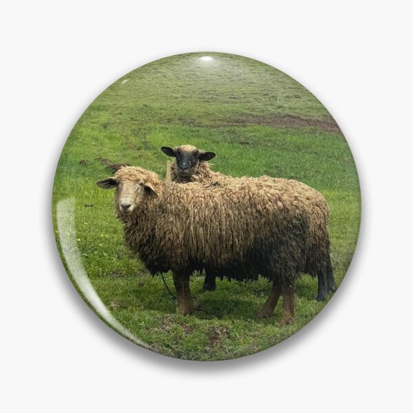 Item preview, Sheep Friends Cusco Peru designed and sold by MalloryNolte.