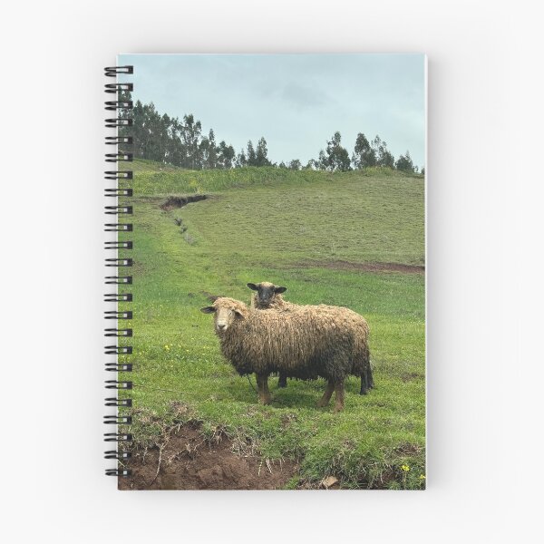 Item preview, Sheep Friends Cusco Peru designed and sold by MalloryNolte.