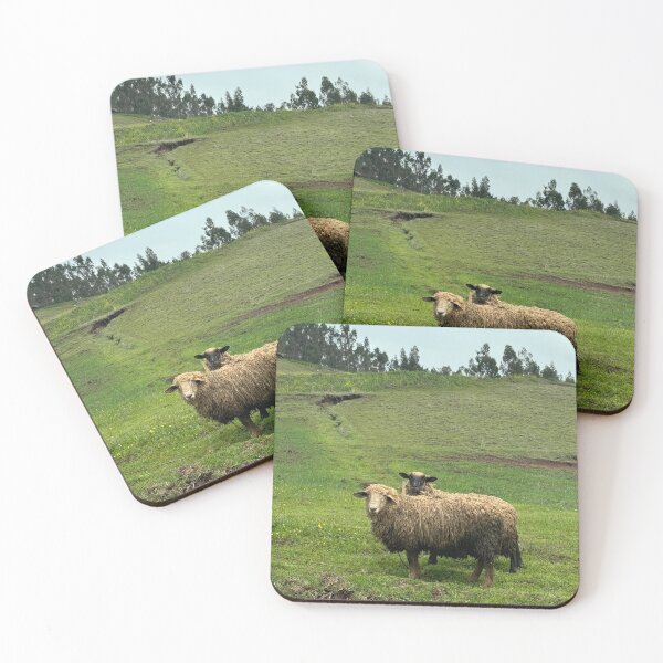Item preview, Sheep Friends Cusco Peru designed and sold by MalloryNolte.