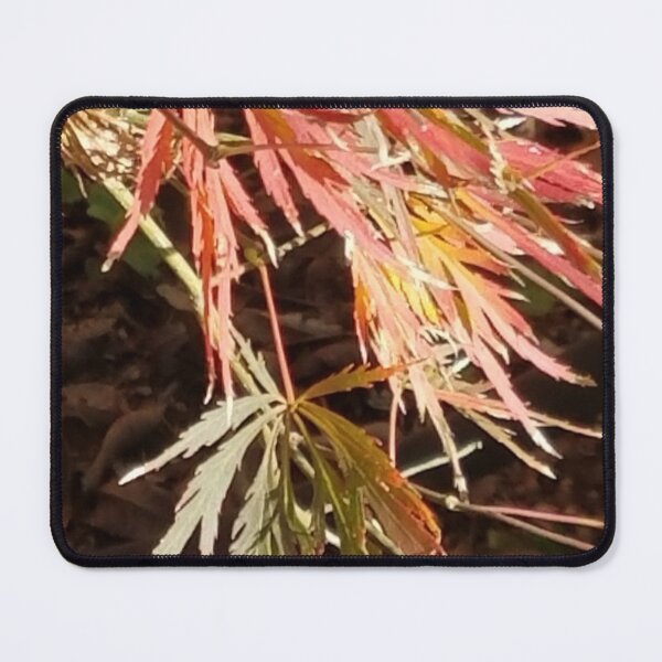 Item preview, Laceleaf Lights designed and sold by MyTimeDesign.