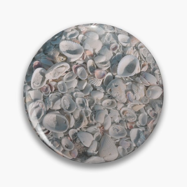 Item preview, Seashells designed and sold by Knoyes409.