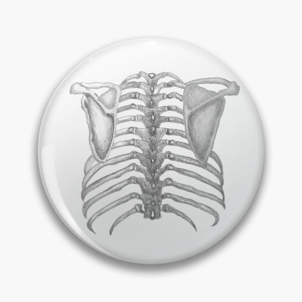 Item preview, Ribs designed and sold by coitool.