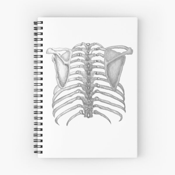 Item preview, Ribs designed and sold by coitool.