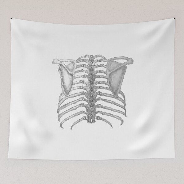 Item preview, Ribs designed and sold by coitool.