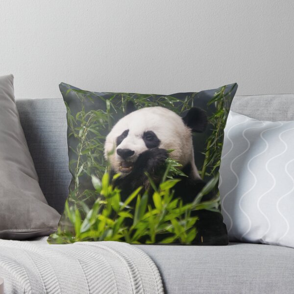 Item preview, Cute Panda Munching on Bamboo designed and sold by beginindustries.