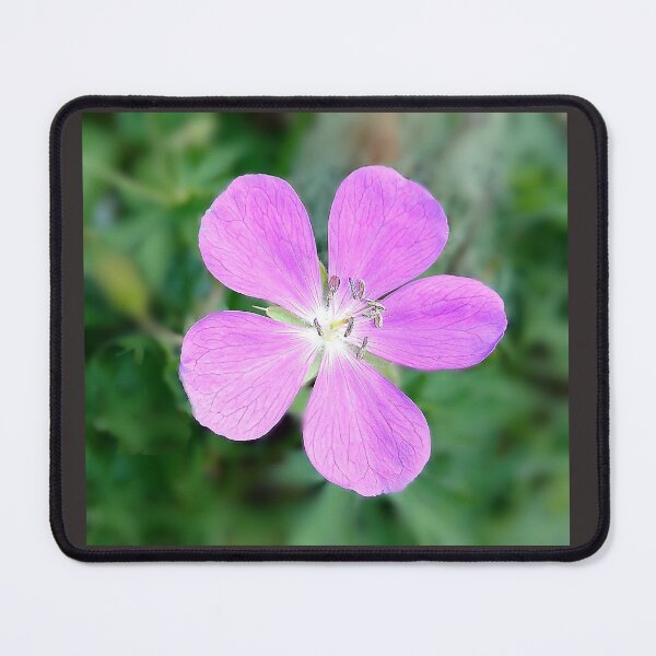 Item preview, Meadow Heart designed and sold by PhotogalTravels.