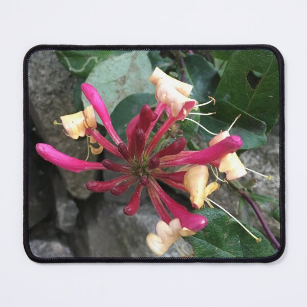 Item preview, Wild Honeysuckle designed and sold by shadowonthemoon.