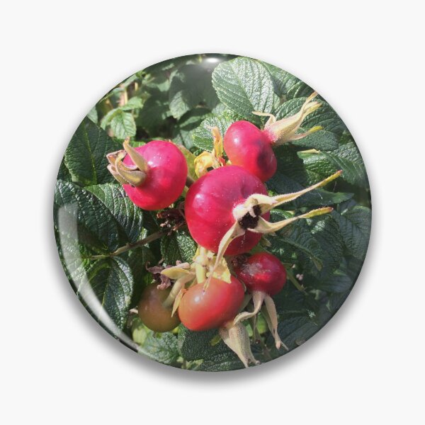 Item preview, Rose Hips designed and sold by shadowonthemoon.