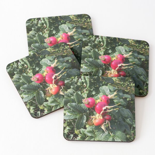 Item preview, Rose Hips designed and sold by shadowonthemoon.