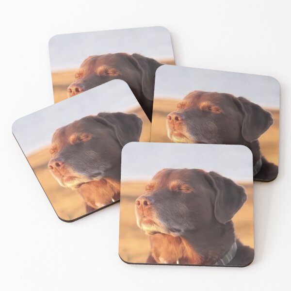 Item preview, Unbothered Dog Meme Wall Art Just Vibing Funny Dog Poster Calm Dog Meme Print designed and sold by VibeDept.