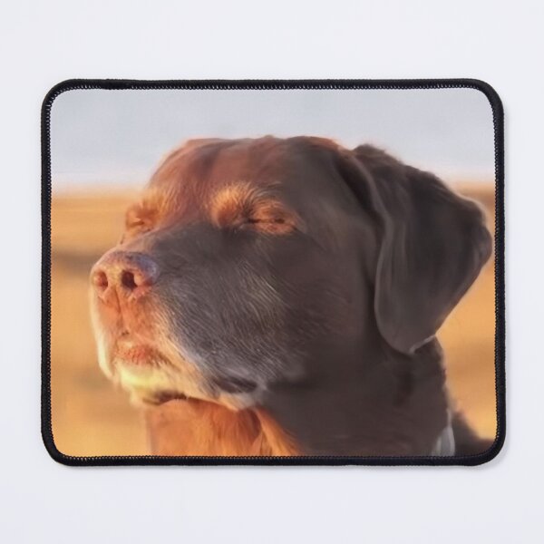 Item preview, Unbothered Dog Meme Wall Art Just Vibing Funny Dog Poster Calm Dog Meme Print designed and sold by VibeDept.