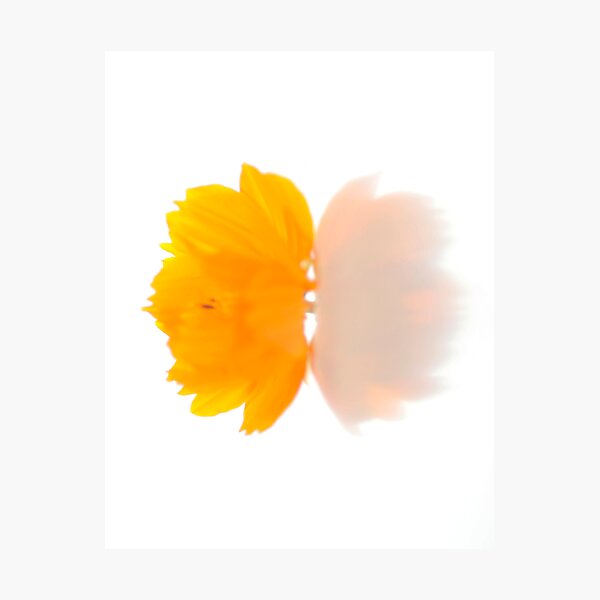 Aperçu de l'œuvre ORANGE créée et vendue par nguyen.