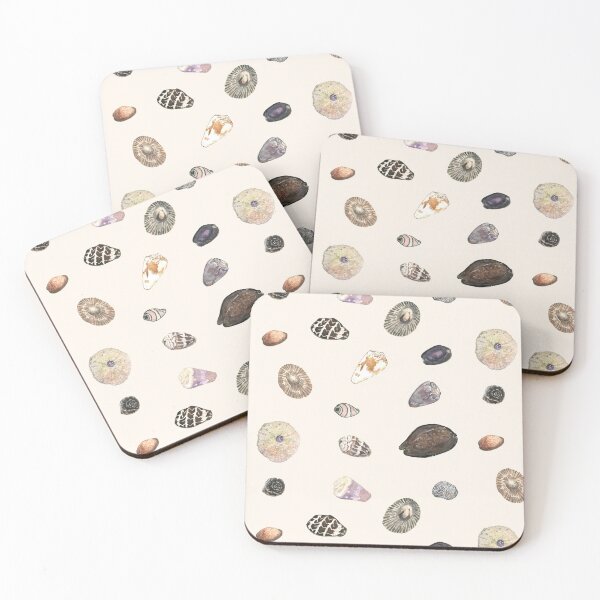 Item preview, Seashells of Molokaʻi, Hawaiʻi designed and sold by Handwritten Aloha.