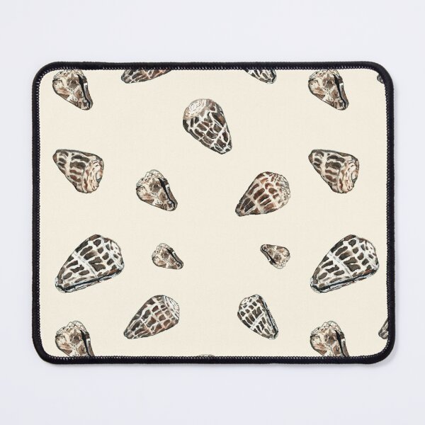 Item preview, Hebrew Cone Seashells of Molokaʻi, Hawaiʻi designed and sold by Handwritten Aloha.