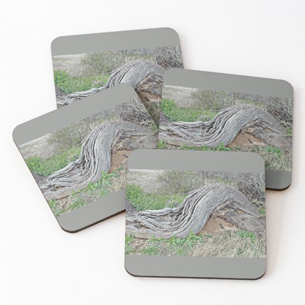 Item preview, Mother Nature’s Wink designed and sold by PhotogalTravels.