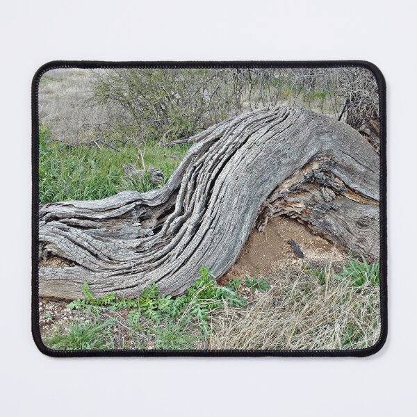 Item preview, Mother Nature’s Wink designed and sold by PhotogalTravels.