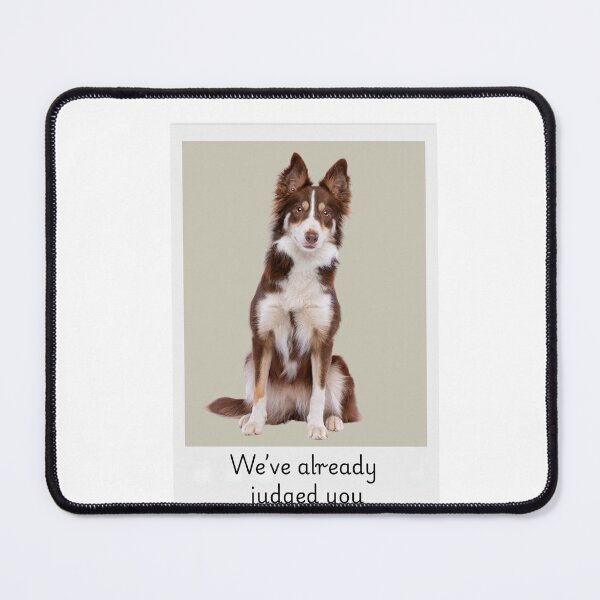 Item preview, Serious Collie Judge – We’ve Already Judged You designed and sold by McExtra.