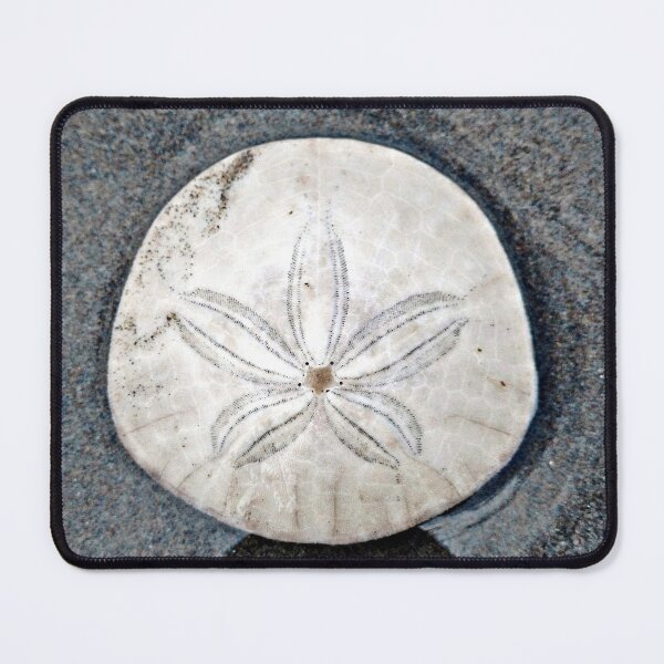 Item preview, Nature's Art: A Sand Dollar from the Oregon Coast designed and sold by PhotogalTravels.