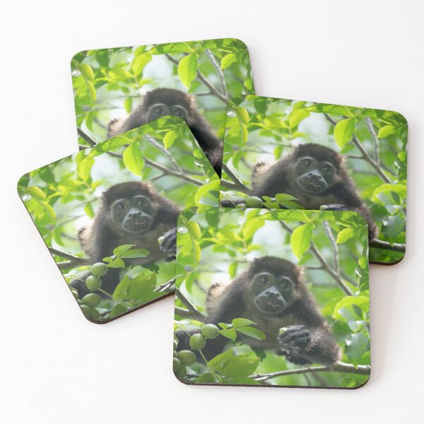 Item preview, Howler Monkey in the Rainforest – Wild Primate Eating Fruit in Green Jungle Canopy designed and sold by WildFrameNature.