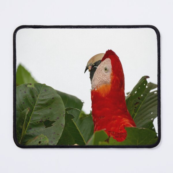 Item preview, Scarlet Macaw Peeking Through Leaves – Wild Tropical Parrot Portrait in Rainforest Canopy designed and sold by WildFrameNature.