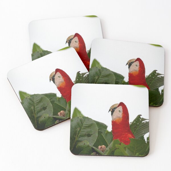 Item preview, Scarlet Macaw Peeking Through Leaves – Wild Tropical Parrot Portrait in Rainforest Canopy designed and sold by WildFrameNature.